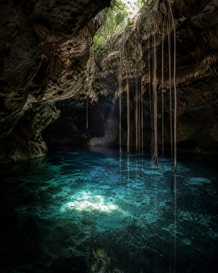 Ambiente conceptual de cenote semiabierto